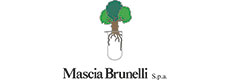 MASCIA BRUNELLI > Exhibitor at WHX Dubai 2026